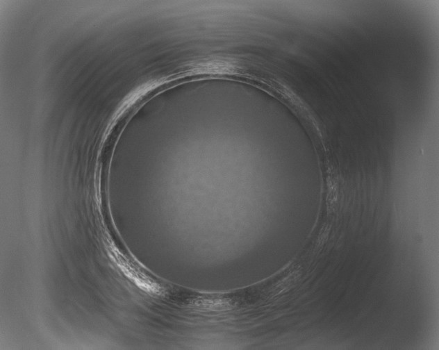 X0000086011035200703231206