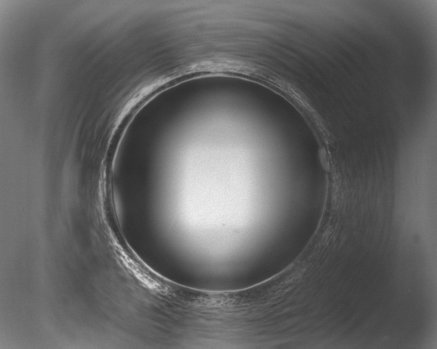 X0000086011040200703231206