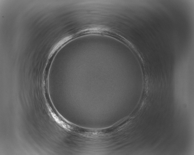 X0000086011042200703231206