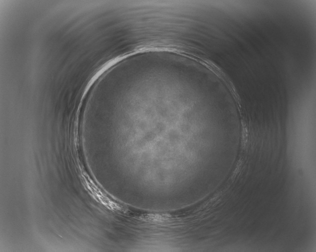 X0000086011052200703231207