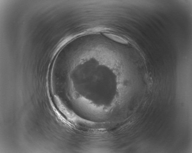 X0000086011055200703231207