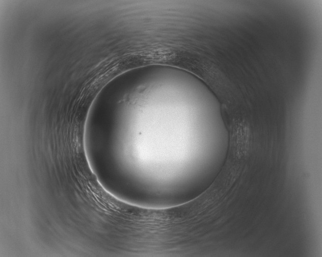 X0000086011058200703231206