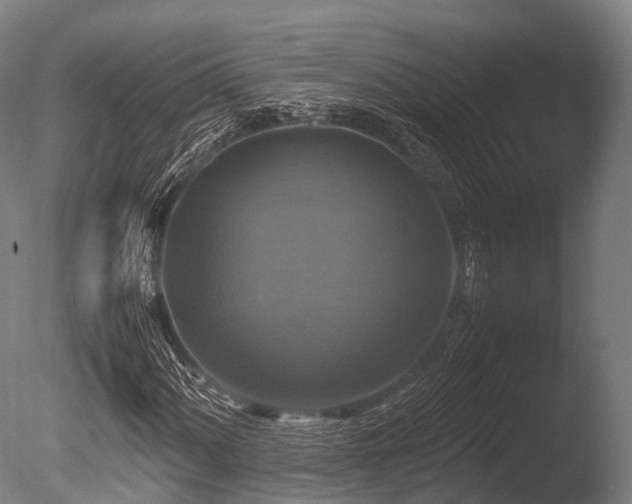 X0000086011060200703231206