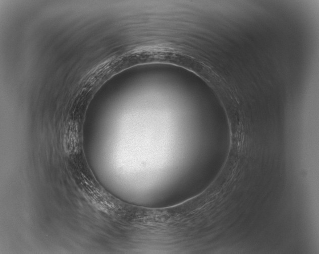 X0000086011062200703231206