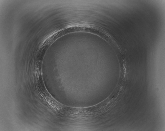 X0000086011064200703231206