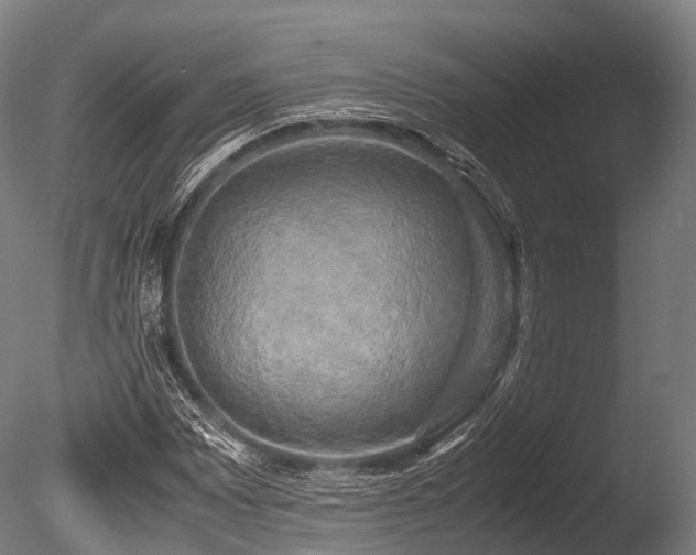 X0000086011065200703231206