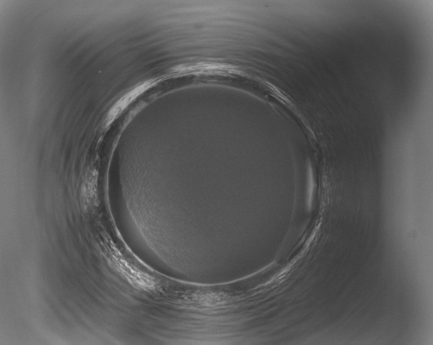 X0000086011066200703231206