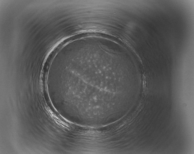 X0000086011068200703231206