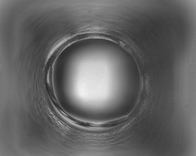 X0000086011069200703231206