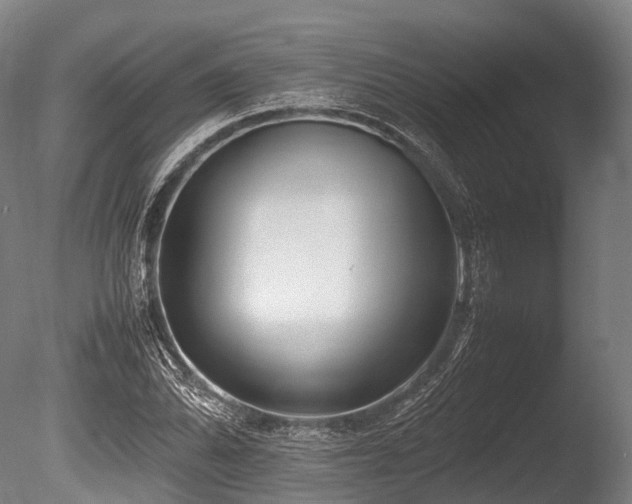 X0000086011070200703231206