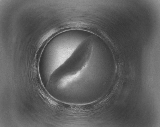 X0000086011071200703231206