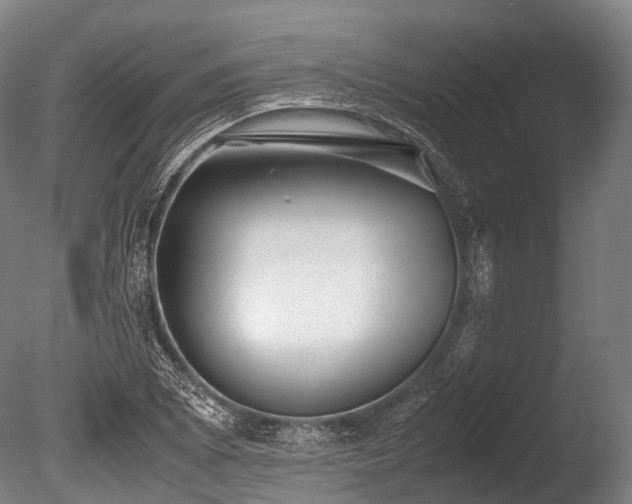 X0000086011073200703231206