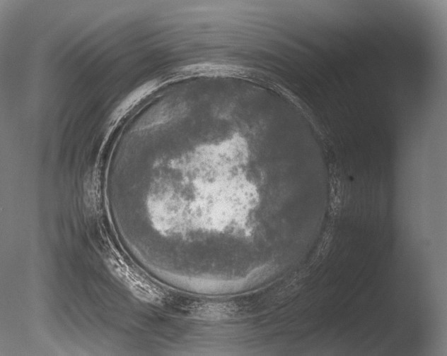 X0000086011074200703231206