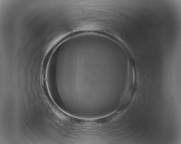 X0000086011077200703231206