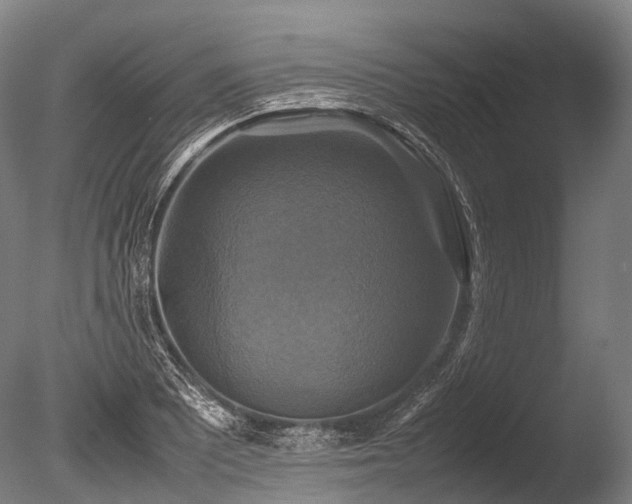 X0000086011081200703231205