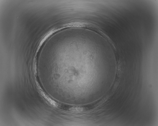 X0000086011083200703231205