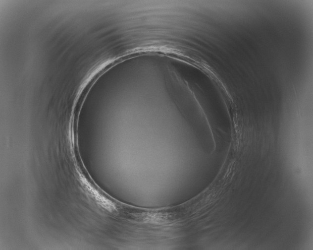 X0000086011084200703231205