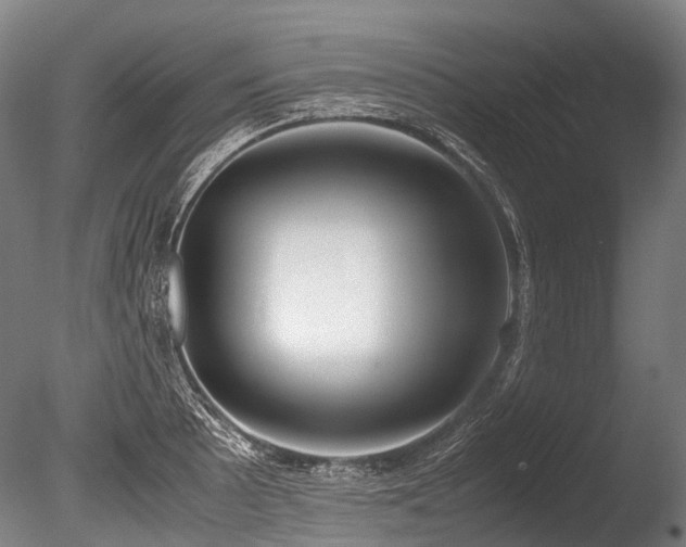 X0000086011089200703231205