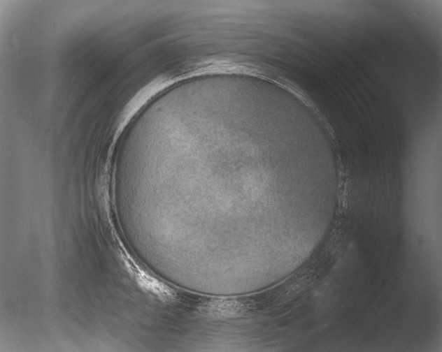 X0000086011094200703231205