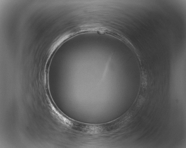 X0000086011095200703231205
