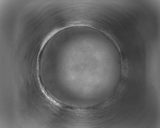 X0000086011096200703231205