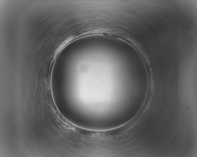 X0000086011097200703231205