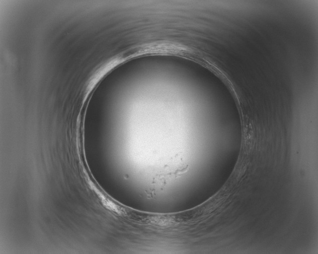 X0000086011103200703231205