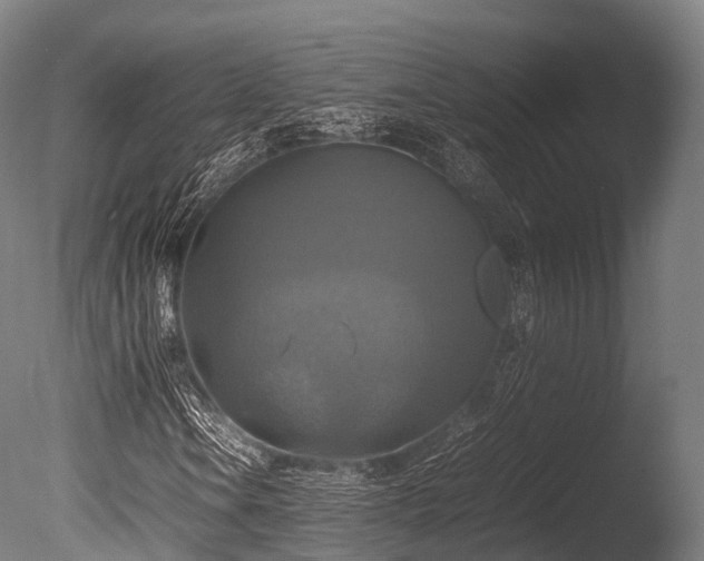 X0000086011106200703231204