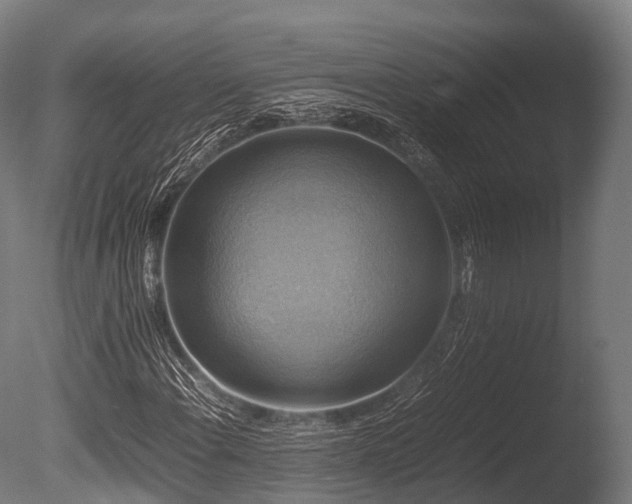 X0000086011108200703231204