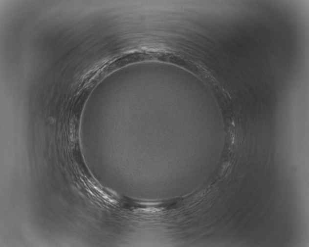 X0000086011110200703231204
