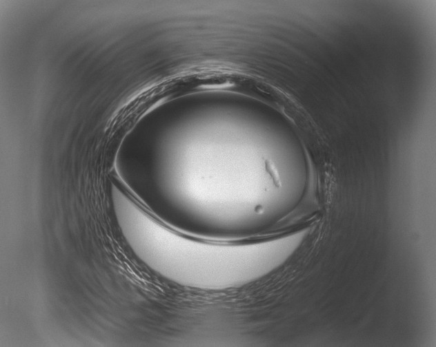 X0000086011112200703231204