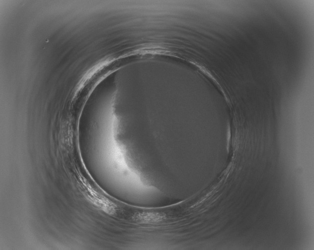 X0000086011115200703231204