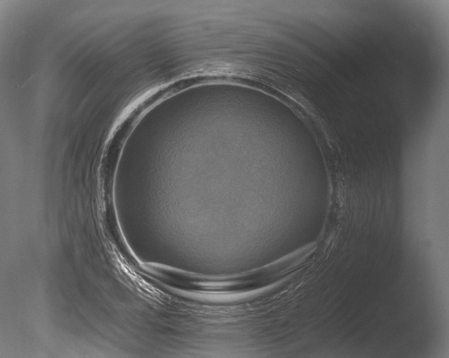 X0000086011120200703231204