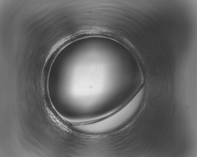 X0000086011122200703231205