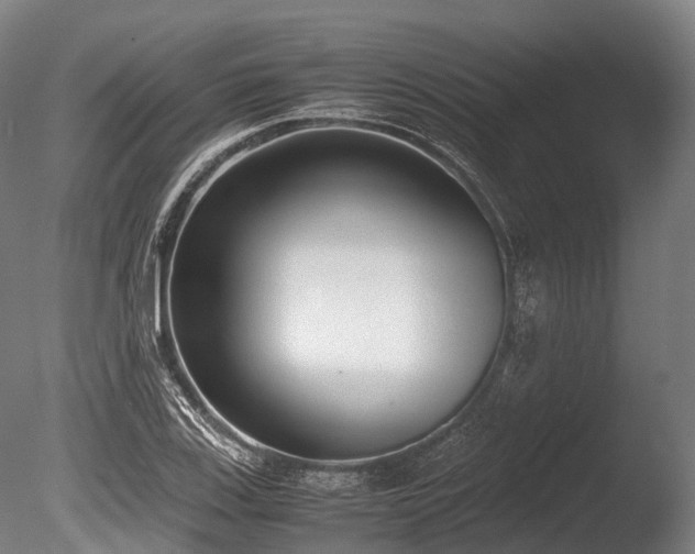 X0000086011123200703231205