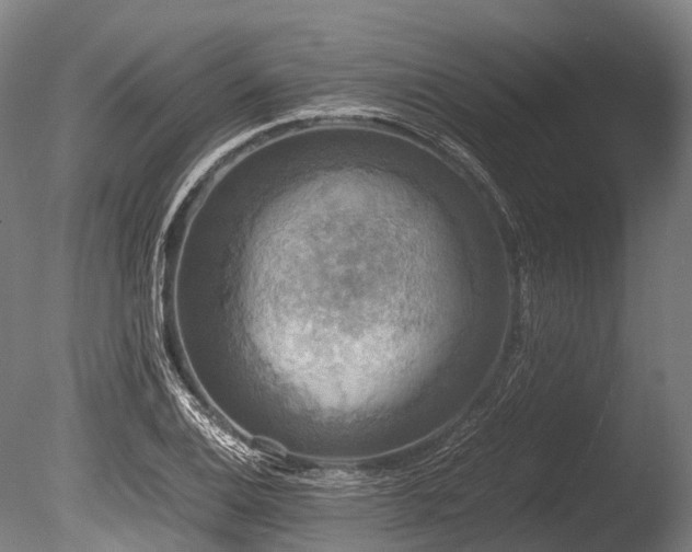 X0000086011124200703231205