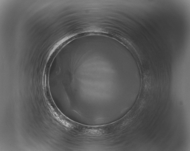 X0000086011125200703231205