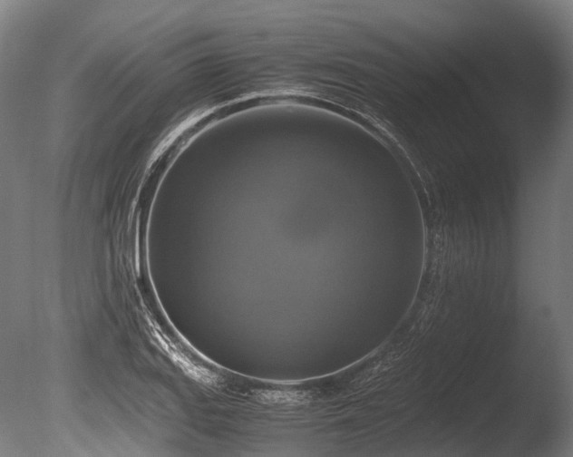 X0000086011127200703231205