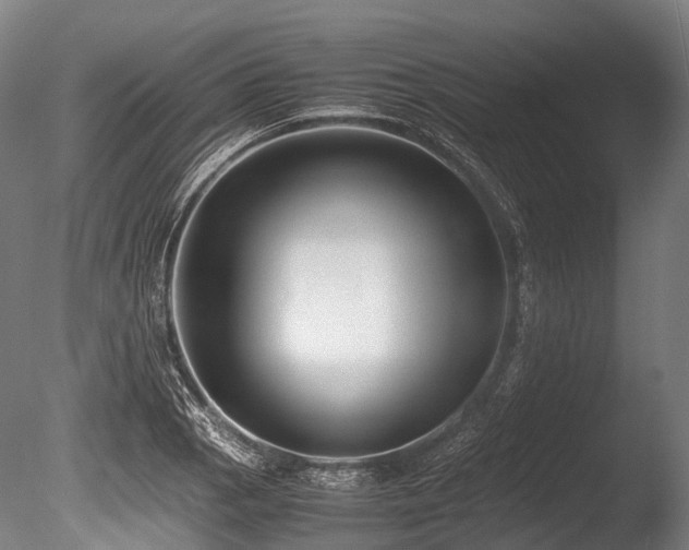 X0000086011129200703231205