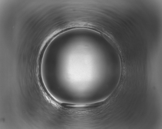 X0000086011136200703231205