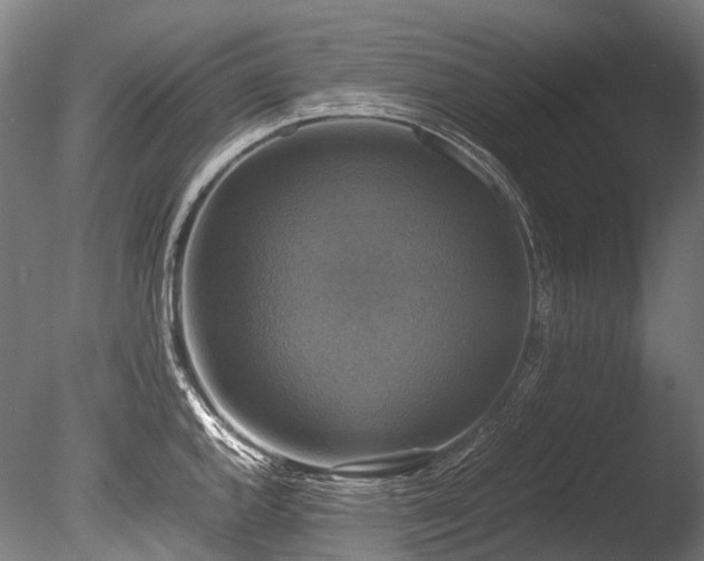 X0000086011144200703231205
