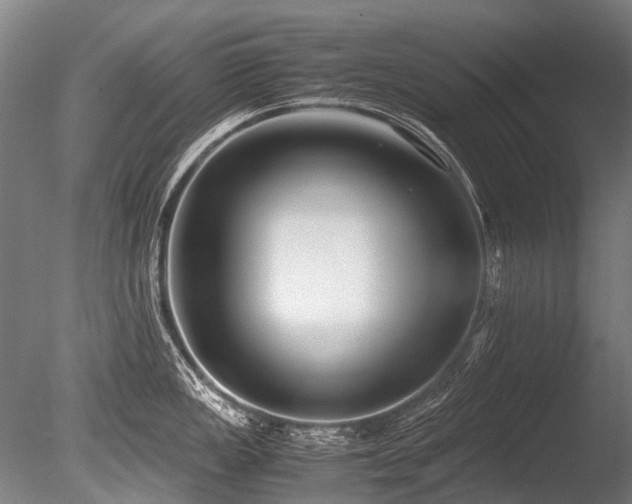 X0000086011149200703231205
