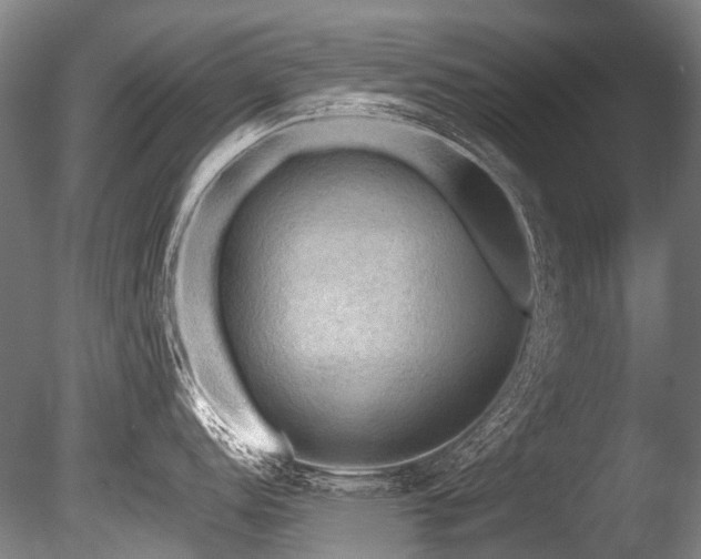 X0000086011152200703231205
