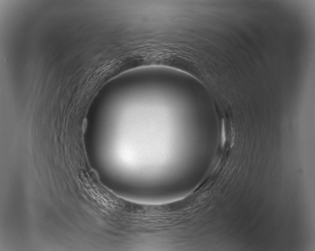 X0000086011153200703231204