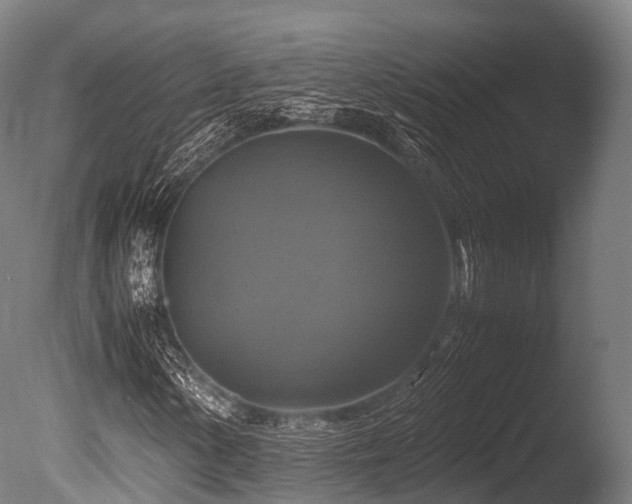 X0000086011154200703231204