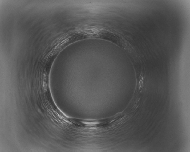 X0000086011156200703231204