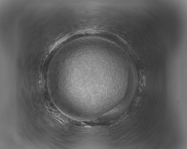 X0000086011160200703231204