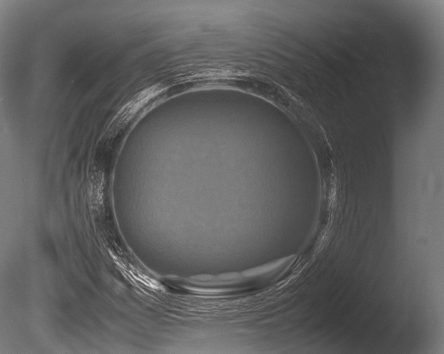 X0000086011161200703231204