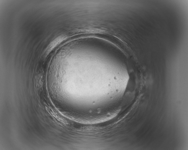 X0000086011163200703231204