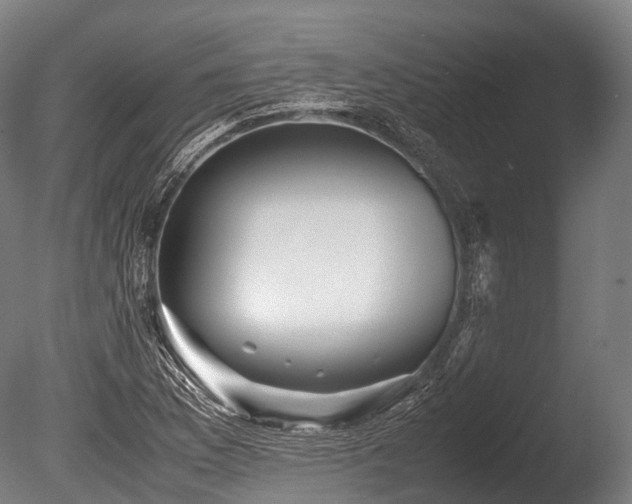X0000086011169200703231204